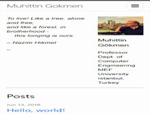 Tablet Screenshot of muhittingokmen.com